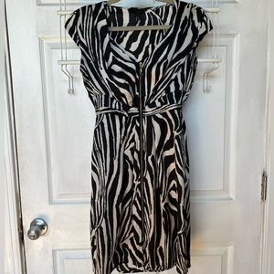 H&M Zebra Satin Dress